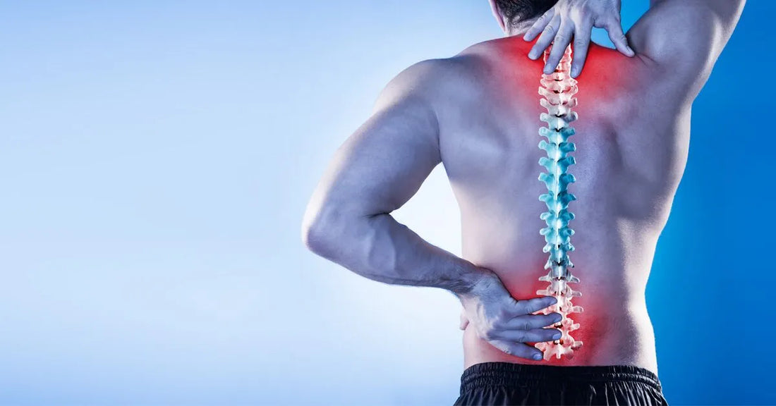 Understanding Back Pain: Causes, Symptoms, and Evidence-Based Relief