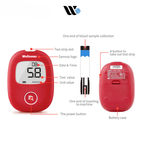 Wellzonez Safe AQ Smart Glucose Monitor