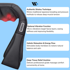 Wellzonez Premium NeuroKnead